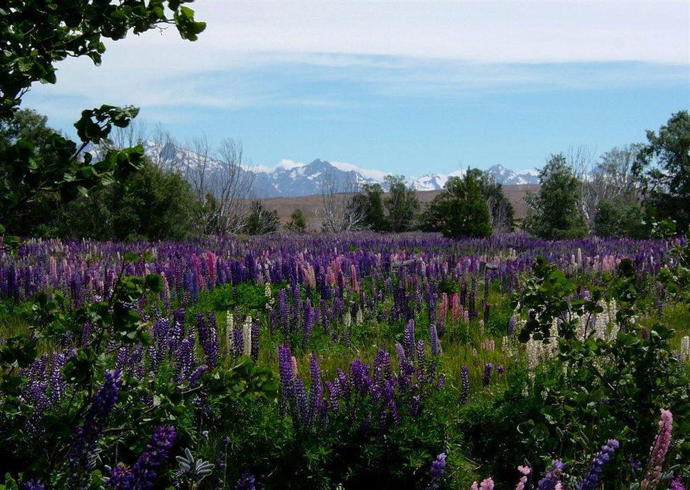 אגם טקפו Lakeview Tekapo מראה חיצוני תמונה